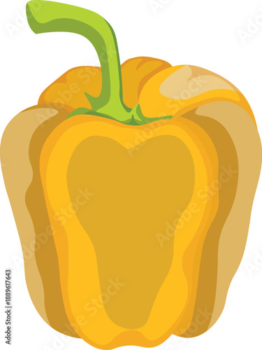 Vector illustration of a fresh yellow pepper isolated on white background as a healthy organic vegetable and sweet ripe paprika for a vegetarian diet
