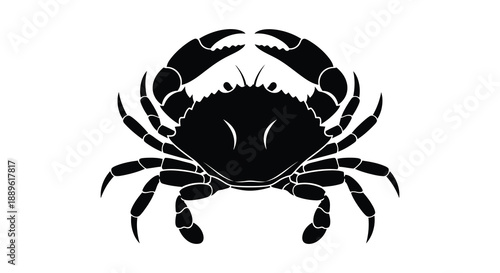 A striking black silhouette depicts a detailed crab with prominent claws and legs showcasing marine life imagery silhouette high quality professional