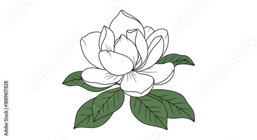 A delicate black and white sketch of a blooming magnolia flower with vibrant green leaves beautifully displayed
