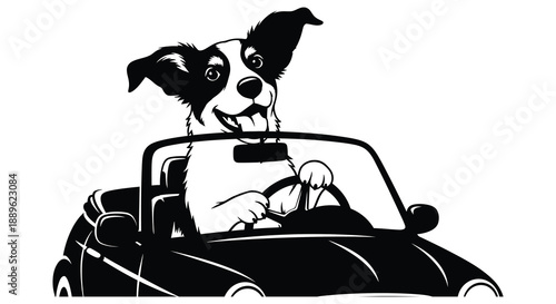 A cheerful border collie drives a convertible car paws on the wheel enjoying a sunny ride silhouette high quality professional