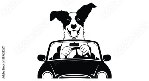 A happy border collie drives a classic convertible enjoying the open road with a joyful expression presented as a silhouette