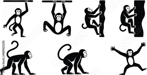 Set of black and white monkey silhouettes featuring playful primates climbing trees, hanging from branches, walking, and jumping in simple flat vector style.