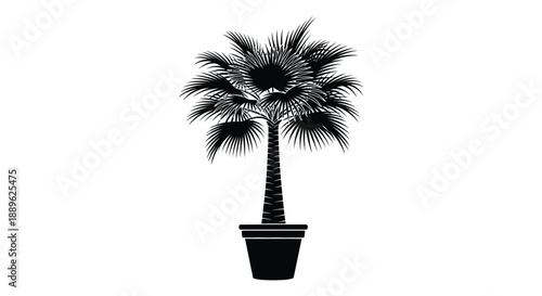 A striking black silhouette of a potted palm tree with detailed fronds capturing a tropical vibe silhouette high quality professional modern