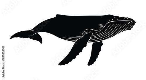 A striking black silhouette depicts a large humpback whale swimming showcasing its graceful form and distinctive features silhouette high quality professional