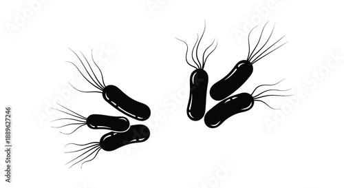 A detailed illustration depicts several rod shaped bacteria with flagella showcasing their microscopic structure and motility high quality professional