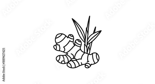 Stylized ginger root illustration with leaves a striking silhouette