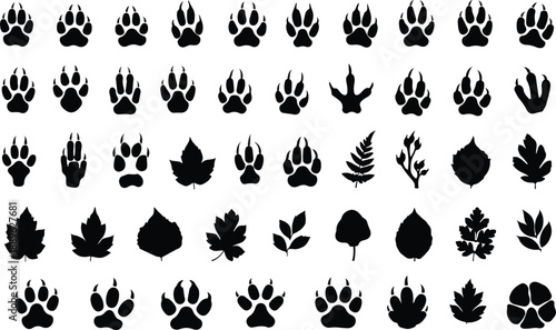  Animals paw prints. Cartoon mammal footprints, black bird foot. Wild animal feet silhouette. Foot paws track tiger, cat and dog trace. Pets trails. Vector se