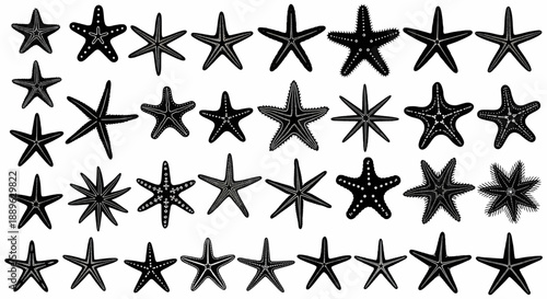 Starfishes hand drawn set, big vector collection design sea stars. Emblem, decor, symbol sea or beach, isolated silhouette on white background.