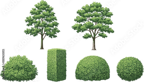 Collection of stylized green trees and manicured garden hedges including rectangular and spherical boxwood bushes isolated on white background for landscape design.