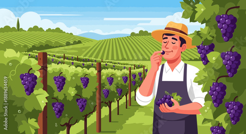 Man in straw hat and apron tasting grapes in a vineyard.