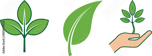 Vector set of green leaf icons and hand holding sprout illustration representing environmental growth and nature conservation sustainability.