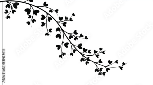 Delicate branch with heart shaped leaves against a white background