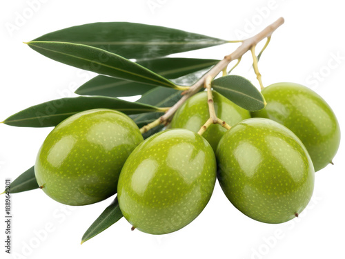 Wallpaper Mural Fresh green olives on branch with leaves isolated on transparent background Torontodigital.ca