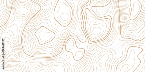 Topographic Contour Art in the Style of Classic Surveyor Maps with Rustic Linework, and a Strong Connection to Natural Geography.beautiful white and black contour topo wavy patten.