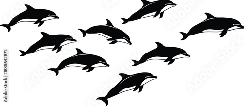 Dolphin silhouette group, black and white vector, aquatic animal formation, marine life icon, swimming dolphins, ocean wildlife illustration