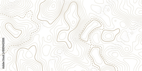 topographic line contour map background, Topographic map and landscape terrain texture grid.Topography background. Vector banner. Topo,
