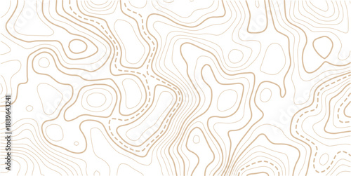 Topographic Contour Art in the Style of Classic Surveyor Maps with Rustic Linework, and a Strong Connection to Natural Geography.beautiful white and black contour topo wavy patten.
