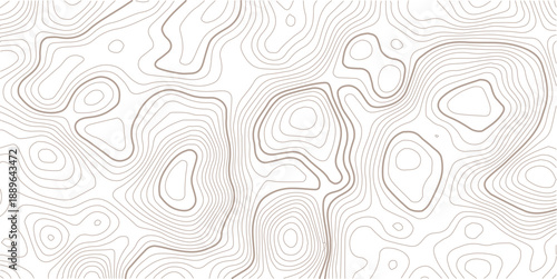 Topographic Contour Art in the Style of Classic Surveyor Maps with Rustic Linework, and a Strong Connection to Natural Geography.beautiful white and black contour topo wavy patten.
