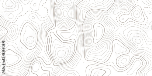 Seamless Light topographic topo contour map background, vector illustration .Topography Wavy Lines Pattern Modern Wide Abstraction.