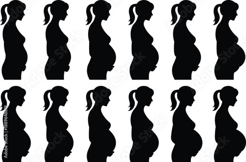 Pregnancy silhouette grid, belly growth stages, woman profile, prenatal timeline, black shadow, vector art, minimal style, anatomy change, maternity concept, motherhood development