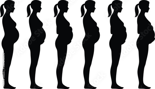 Pregnancy silhouette stages, woman profile, belly growth, maternity timeline, black shadow, vector art, minimal style, anatomy change, motherhood concept, prenatal development