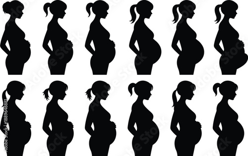 Pregnancy silhouette grid, woman profile stages, belly growth timeline, prenatal development, black shadow, vector art, minimal style, anatomy change, motherhood concept, maternity illustration