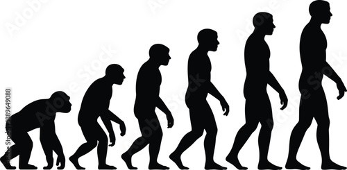Human evolution silhouette, ape to man, walking progression, anatomy development, scientific timeline, black shadow, vector art, minimal style, biology concept, anthropology