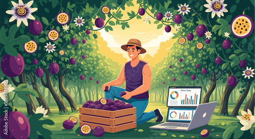 Farmer harvesting passion fruit with laptop for agricultural data analysis.
