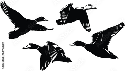 Black and white duck silhouettes in flight, showing wing positions, motion, and dynamic posture for nature and design themes