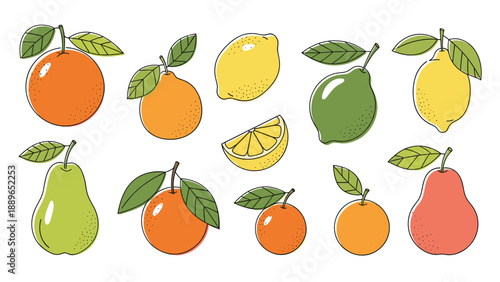 Vibrant collection of various citrus fruits including oranges, lemons, limes, and pears with leaves isolated on a white background.