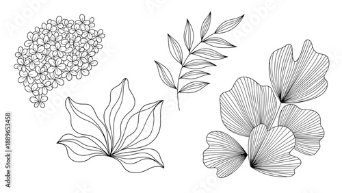 Collection of various hand drawn floral and leaf elements in black and white provides a set of botanical motifs for creative design projects.