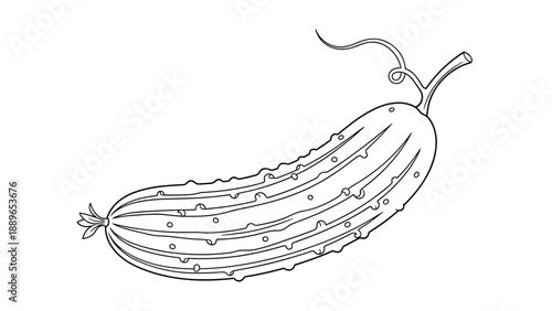 Single cucumber with textured skin and a small stem is illustrated in a clean black and white line drawing for culinary or garden themes.