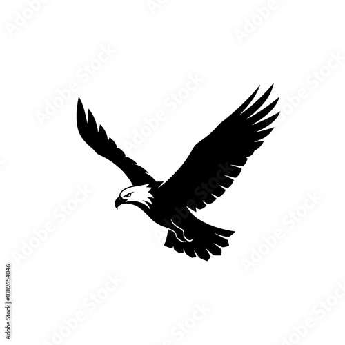 Silhouette of a soaring eagle with outstretched wings against a white background