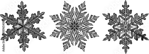 Intricate black and white snowflakes with detailed symmetrical patterns, winter holiday design elements