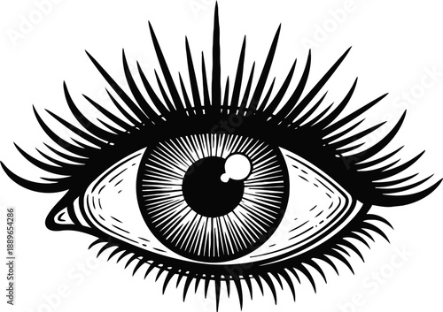 Detailed black and white eye illustration with long eyelashes and intricate iris design