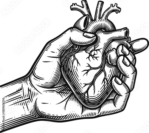Human hand holding anatomical heart illustration with detailed veins and arteries