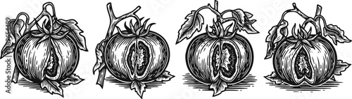 Hand drawn pomegranate fruits with leaves and seeds vintage botanical sketch of ripe tropical fruit cut in half