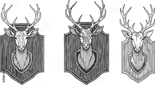 Vintage deer head trophies with antlers hand drawn hunting mounts on wooden plaques