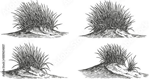 hand drawn grassy mound illustrations with rocks and soil natural landscape elements set