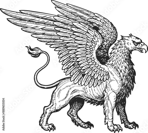 Mythical griffin creature with lion body, eagle wings, and fierce expression detailed black and white illustration