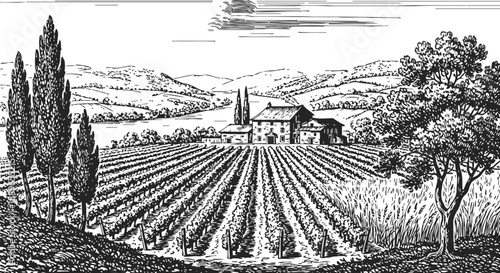 Rustic vineyard landscape with farmhouse, cypress trees, and rolling hills in countryside setting