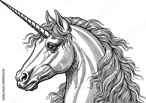 Detailed unicorn head illustration with flowing mane and spiraled horn, fantasy mythical creature drawing