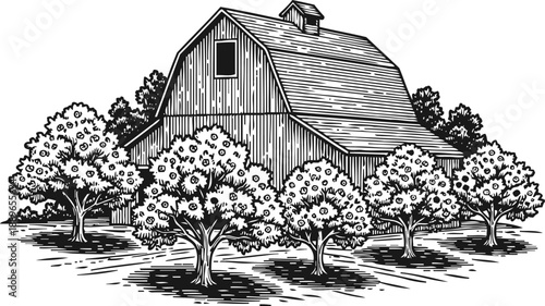 Rustic barn surrounded by fruit trees in orchard vintage countryside landscape with agricultural building