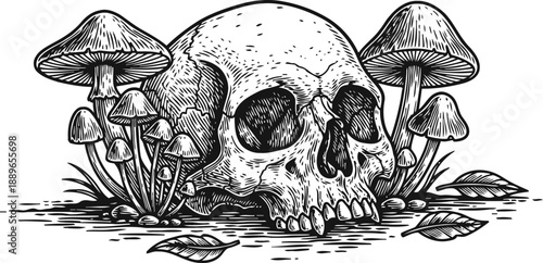 Human skull with mushrooms growing around on the ground vintage gothic horror illustration in black and white