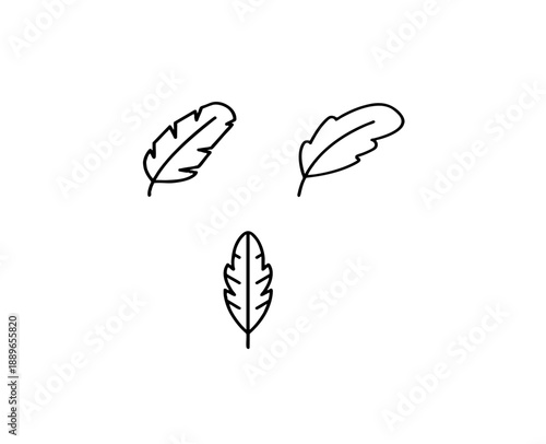 Feather line art icons set with bird plume and soft quill wing outlines in black and white