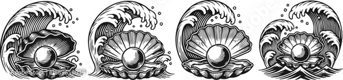 black and white pearl oyster shells with water splash marine mollusk underwater sea life illustration
