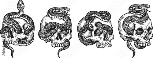 Four detailed skulls entwined with snakes gothic tattoo design illustrations in black and white