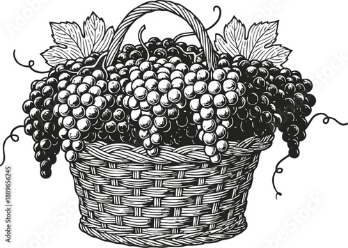 Basket filled with ripe grapes and grapevine leaves hand drawn vintage fruit basket illustration
