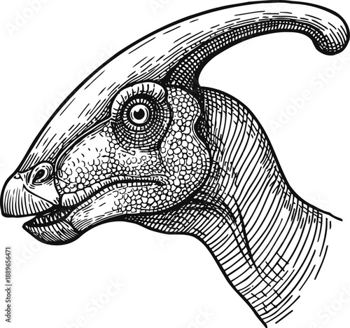 Detailed black and white illustration of a parasaurolophus dinosaur head with textured scales and crest