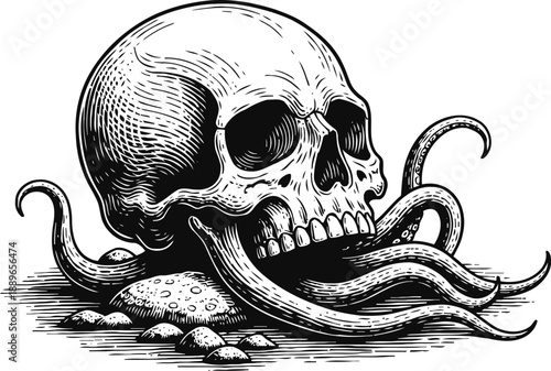Intricate black and white skull with octopus tentacles emerging, detailed line art illustration
